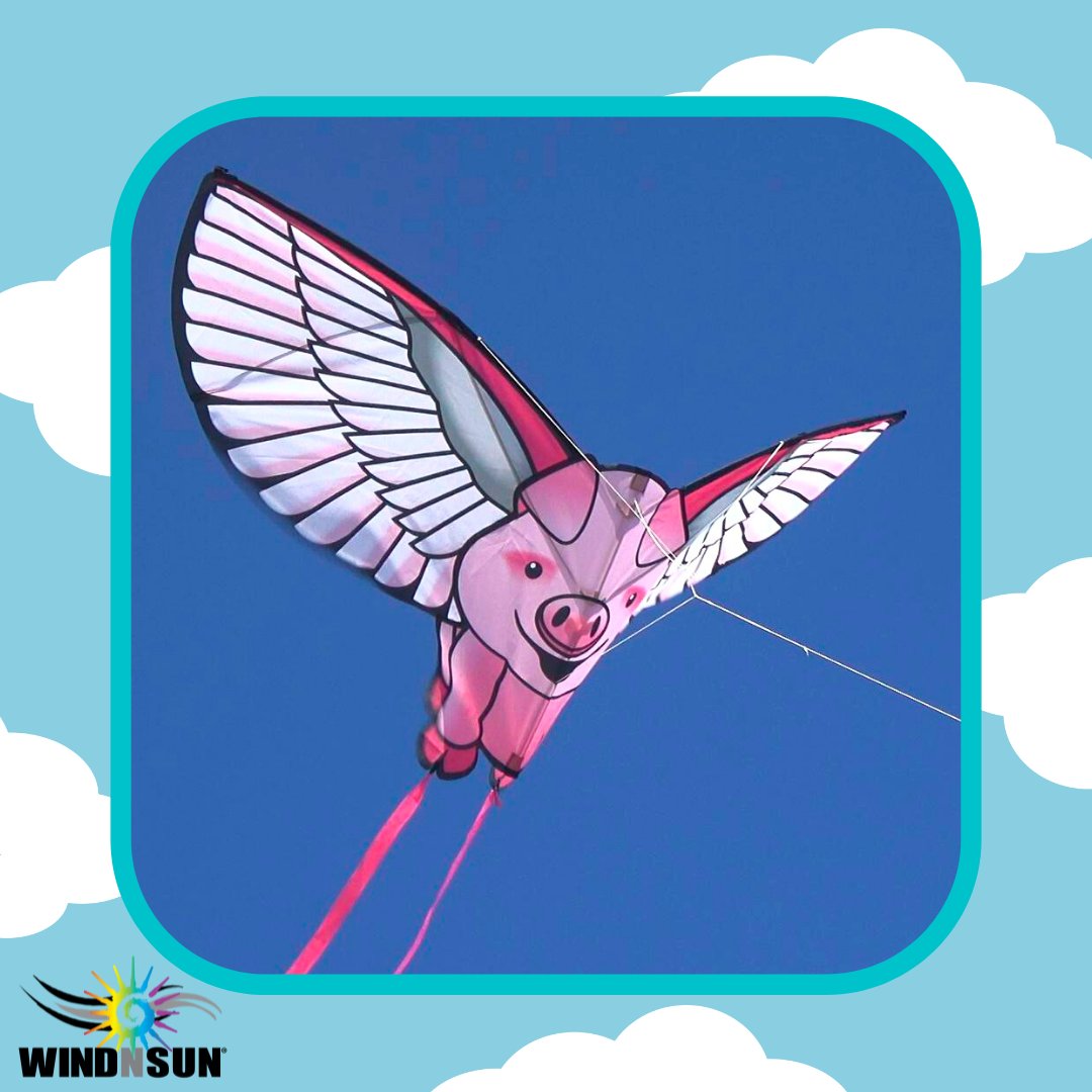 flyxkites's tweet photo. Making the impossible possible with the WindNSun Flying Pig #FlyXKites 

#kites #flymorekites #beachlife #outdoors #goflyakite #outdoorfun #spring #outdoors  #toyactivities #earlylearning #earlychildhoodeducation #kiteflying #outdoorhobbys #flyingpig #pigkite https://t.co/5AvvF4h8cx