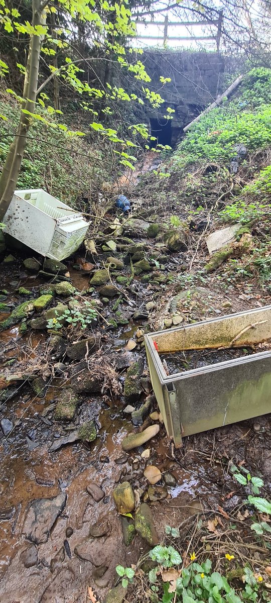 EarthdropTweets's tweet image. The first photo is a week ago when I started-
The second photo was today! 
😁♻️🌍
#tidynature #earthdrop #enviroment #greenliving