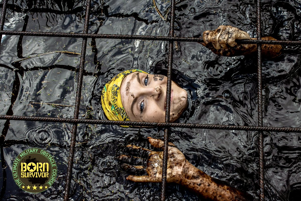 Ysabelle Lewis tweet media