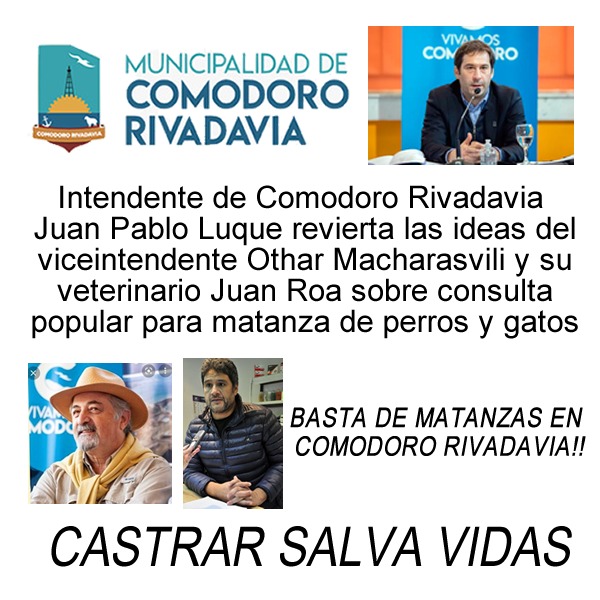 #ComodoroRivadavia necesita 150 catraciones por día durante un año para que se vean los resultados esto es lo que queremos y por esto lo aplaudiremos eternamente LOS DEMÁS SON SOLO ASESINOS DE PERROS O NEGOCIAN CON ELLOS. 
<a href="/luquejuanpablo/">Juan Pablo Luque</a> 
<a href="/Proyecto4Patas/">Proyecto 4 Patas</a> 
<a href="/refuasis/">Refugio San Francisco de Asís</a>