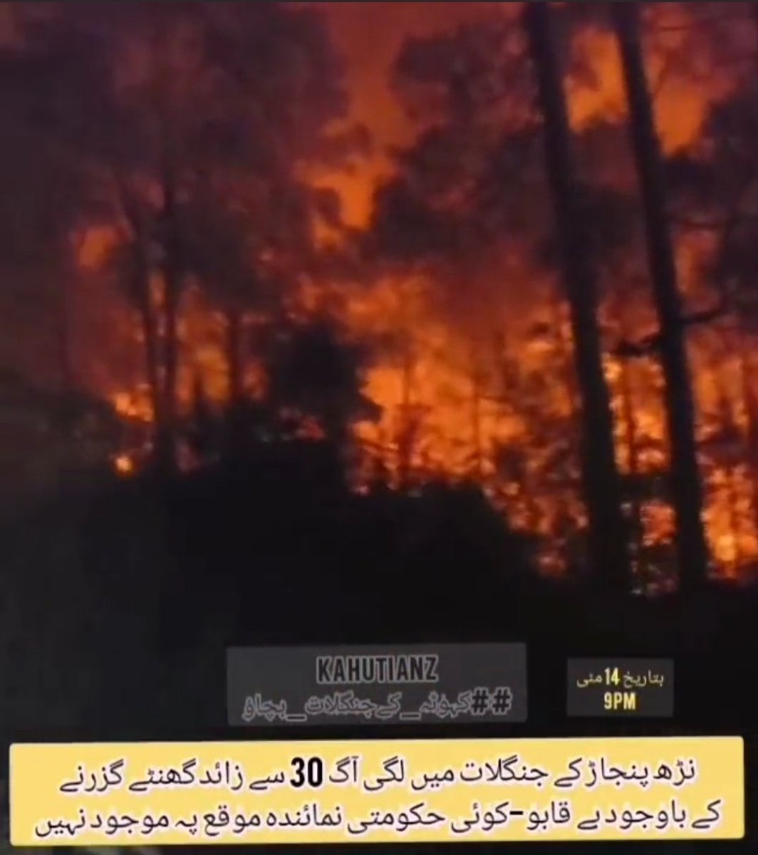 AlphaCharli11's tweet photo. This has been probably been the worst situation Kahuta's Forests have faced!
Save #Kahuta, Save #Panjpeer, Save #Forest
@dcislamabad
@DCRawalpindi
@CommissionerRwp
@Ackahuta
@CMShehbaz
@CS_Punjab
#کہوٹہ_کےجنگلات_بچاؤ https://t.co/A2VwMIfyCV