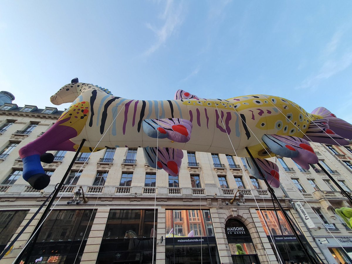 StphanieFasquel's tweet photo. La grande cavalerie arrive rue Faidherbe #Lille #Utopia https://t.co/58JO3BEtAU