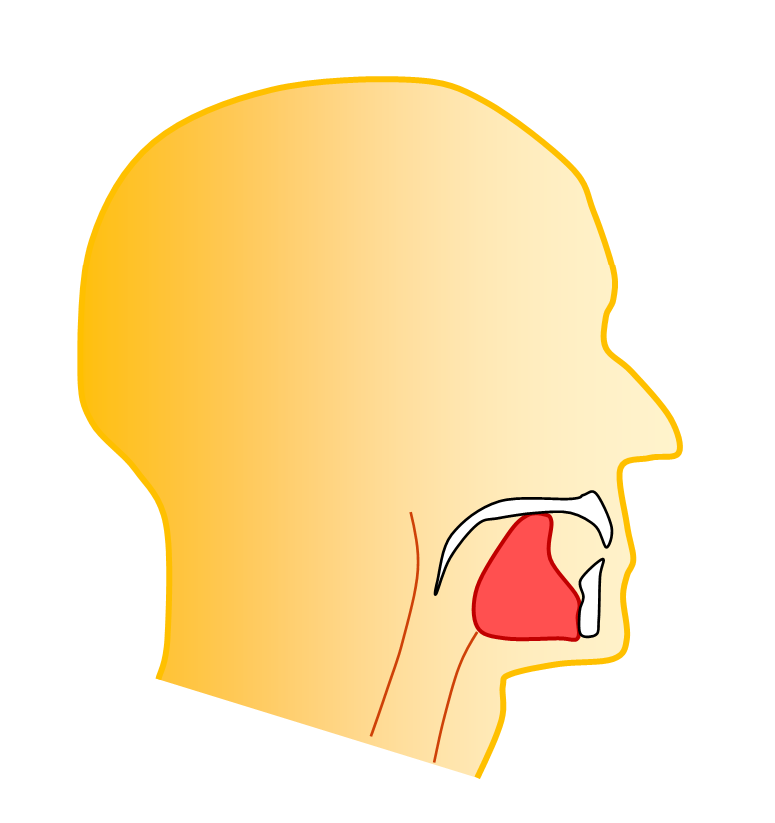 ExposomeHealth's tweet photo. The history of the #microcosmic orbit dates back to prehistoric times in China, and the underlying principles can be found in the I Ching.
"Building the bridge with the tip of the tongue touching the palate."
https://t.co/IvBXsEfiCO
https://t.co/SLtUkXCXOF https://t.co/uUWNjQDpdZ