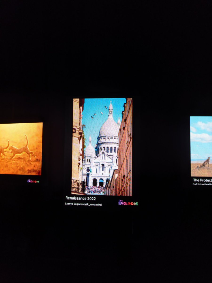 NFTHFAM's tweet photo. NFT HUSTLERS FEATURED @NamasteyNFT!💎

1) @maheenisketchy.
2) @pranay_eth.
3) @sidvisuals_.
4) @E_sanqueira.

Pictures by on ground team member @Andyndart. https://t.co/Z0IYlxbKxs