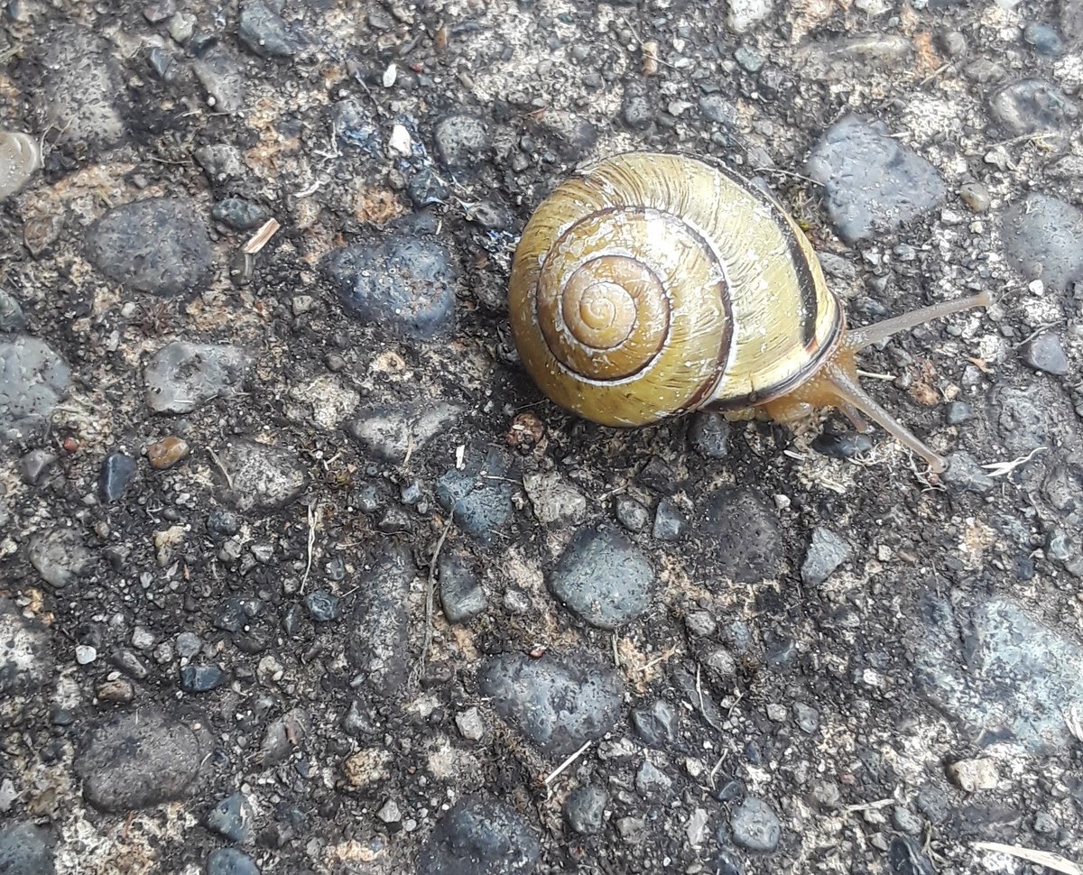 TopCBDExpo tweet media