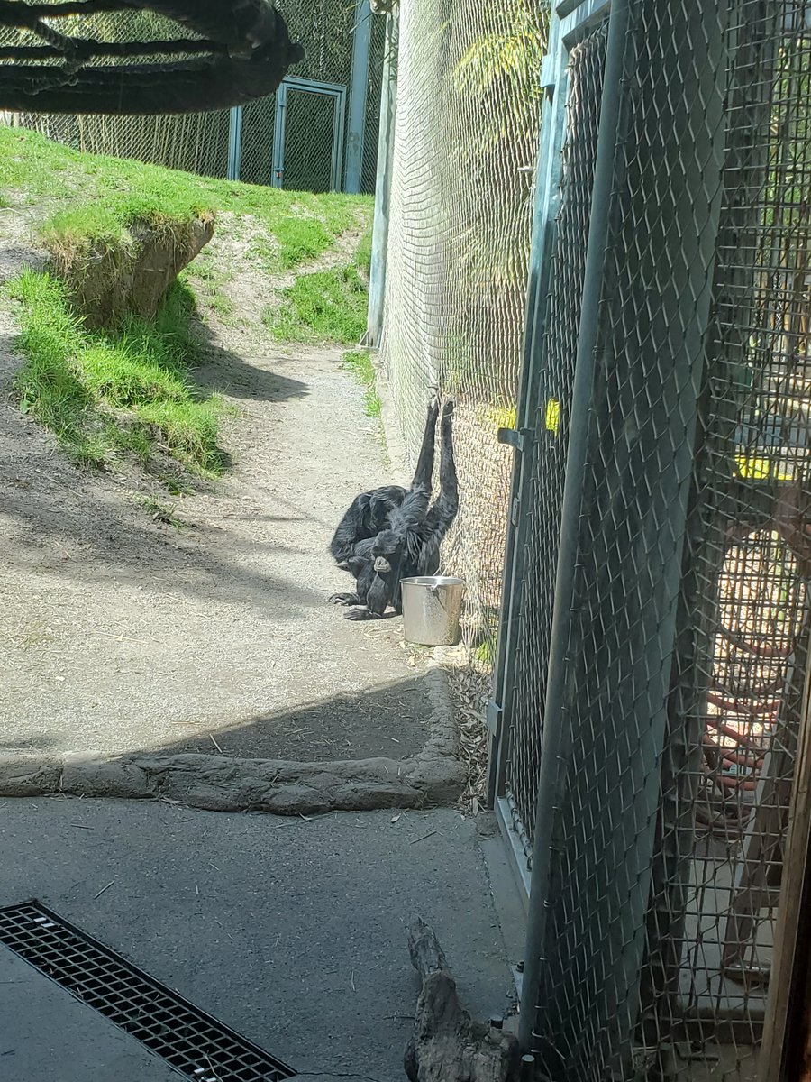 TopCBDExpo tweet media