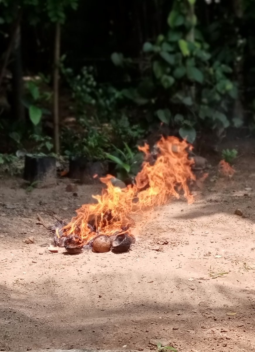 Sameeramadushanka tweet media