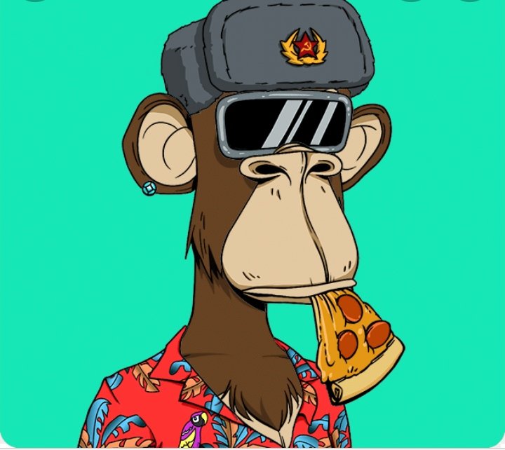 NFTS|OFICIAL tweet media