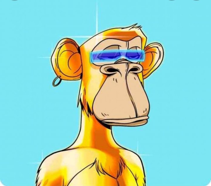 NFTS|OFICIAL tweet media