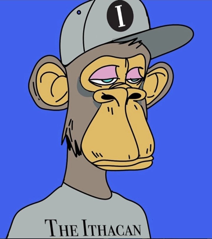 NFTS|OFICIAL tweet media