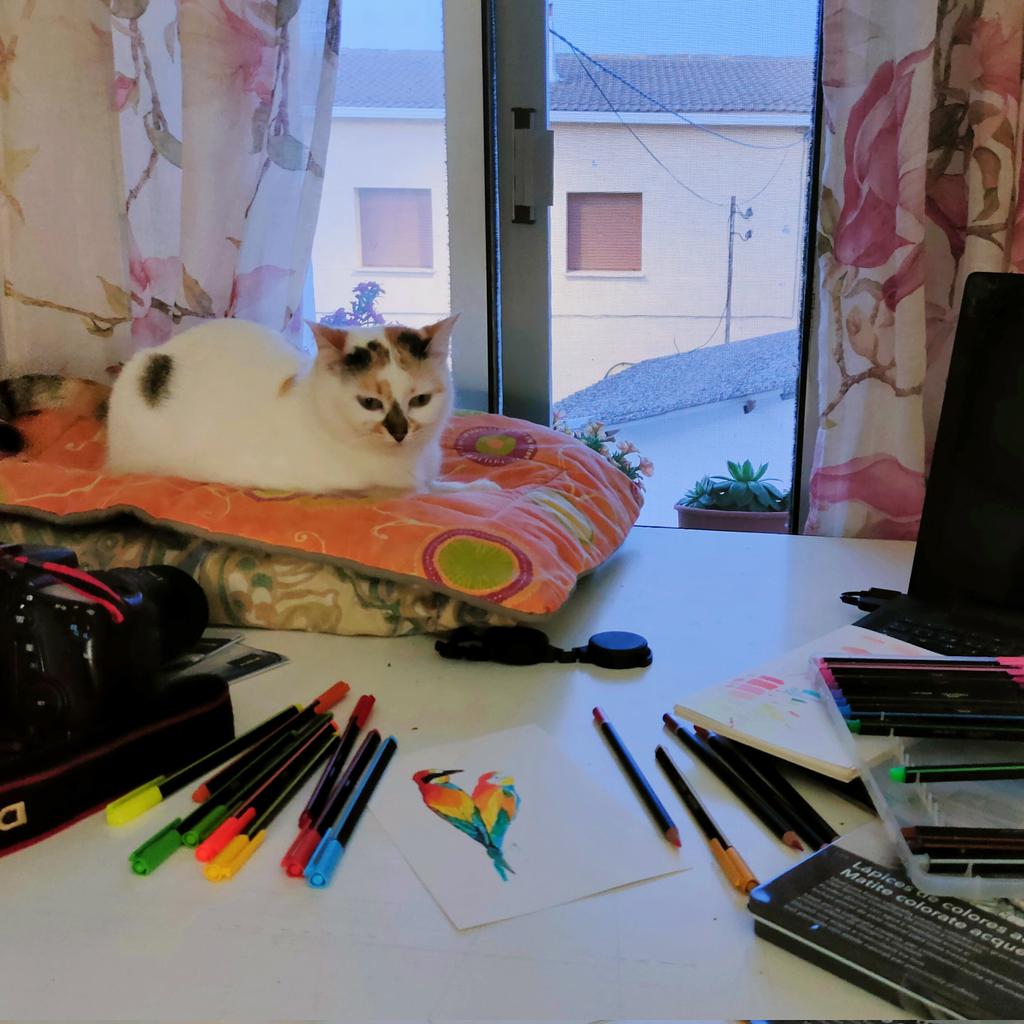 Los #abejarucos ya están aquí! Tarde de inspiración 👩🏻‍🎨🥰

#dibujando #tardesdeinspiracion 
#rural_life #abejaruco #lovebirds 
#birdart #birdslovers