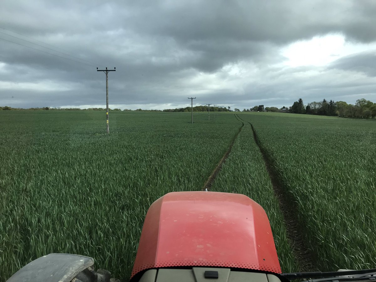 davidgill80's tweet photo. Anyone else have telegraph poles on a curve?? 6 poles in an 8ha field! Sowed following them this year to avoid constant sprayer folding. #inoutinout https://t.co/AdZrYnt84z