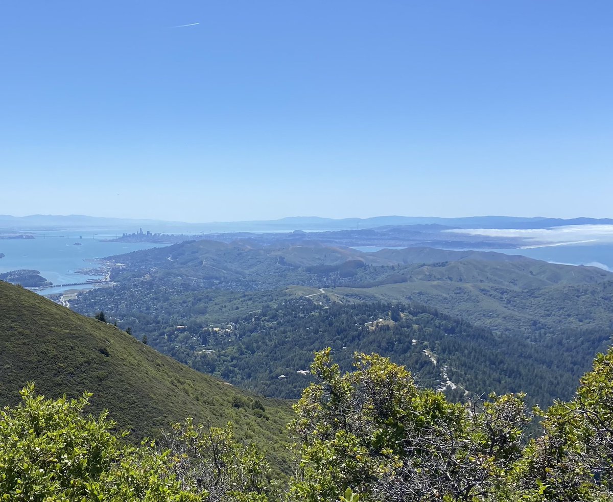 Jon Elvekrog tweet media