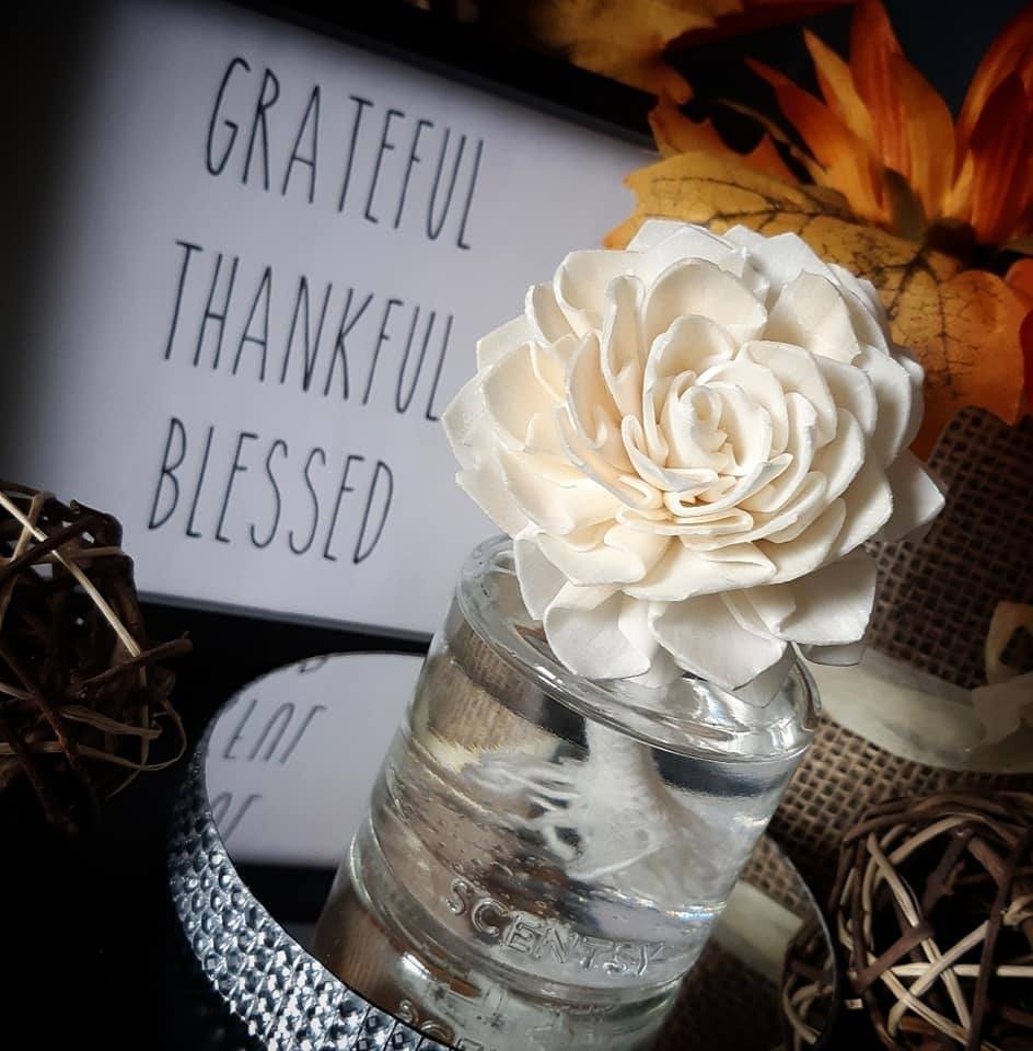 ShoppingwithCyn's tweet photo. Fragrance Flowers for any occasion! 

I love you ❤️
Happy Birthday 🥳
House Warming🏠
Just because 🥰

And they are on sale until May 31st. 

🧡 https://t.co/EeHxZROW41

#fragranceflower #iloveyou #HAPPYBIRTHDAY #housewarming https://t.co/XzXVniRgZa
