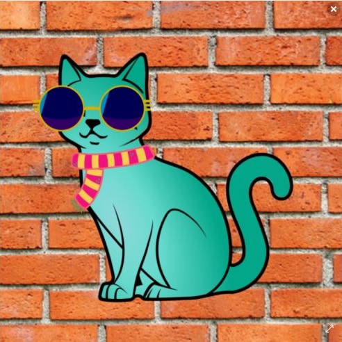 Our Collection is going to help a lot of homeless and abandoned cats. Follow us for more details. 🤗 The sky is the limit. LFG 🚀🚀🚀🚀 #nft #NFTCommunity #NFTProject #NFTdrops #nftgirls