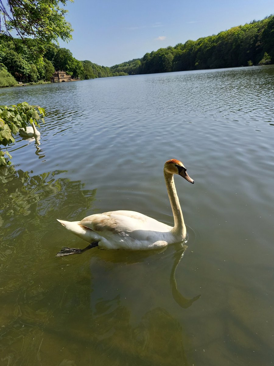 Where I walked today...
Newmillerdam, near Wakefield