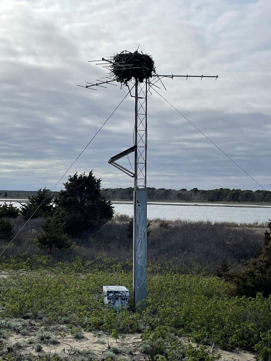 Clear evidence that #birdsarentreal <a href="/birdsarentreal/">Birds Aren't Real</a>