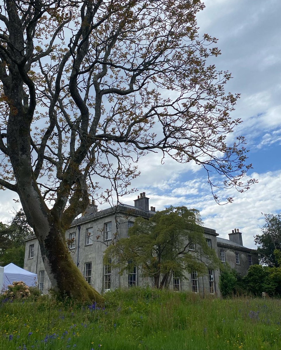 FlotsamFlo's tweet photo. @EnysGardens the bluebells are out and are looking absolutely gorgeous.  Come and see them whilst they are still there and even better, come and visit tomorrow to see Flotsam Flo and all the brilliant craft stalls tomorrow, 9-5pm 💙♻️✨ #Enysgardens #enys #bluebells #cornwall https://t.co/hxjmQ4KE3u