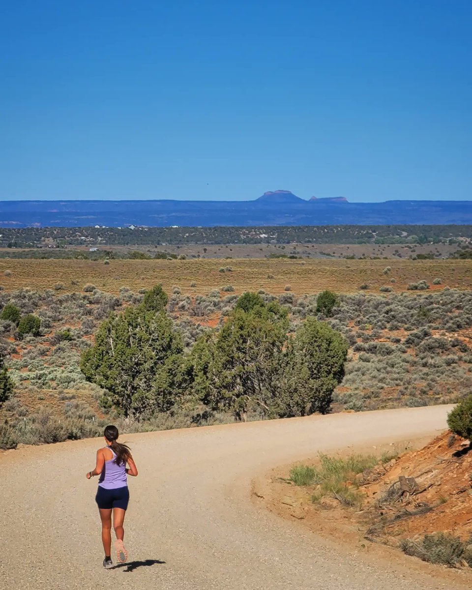 The Average Joe Runner tweet media