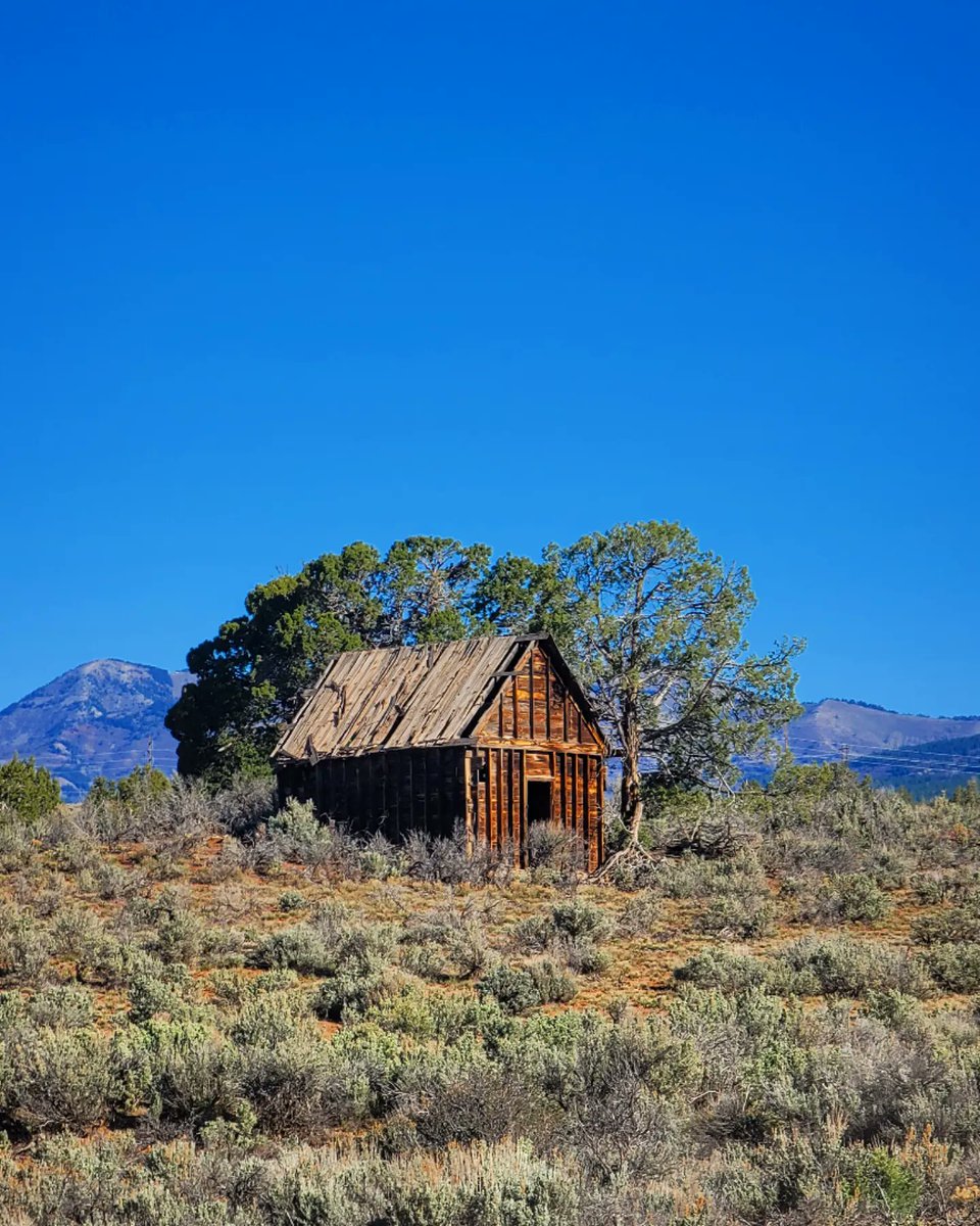 The Average Joe Runner tweet media