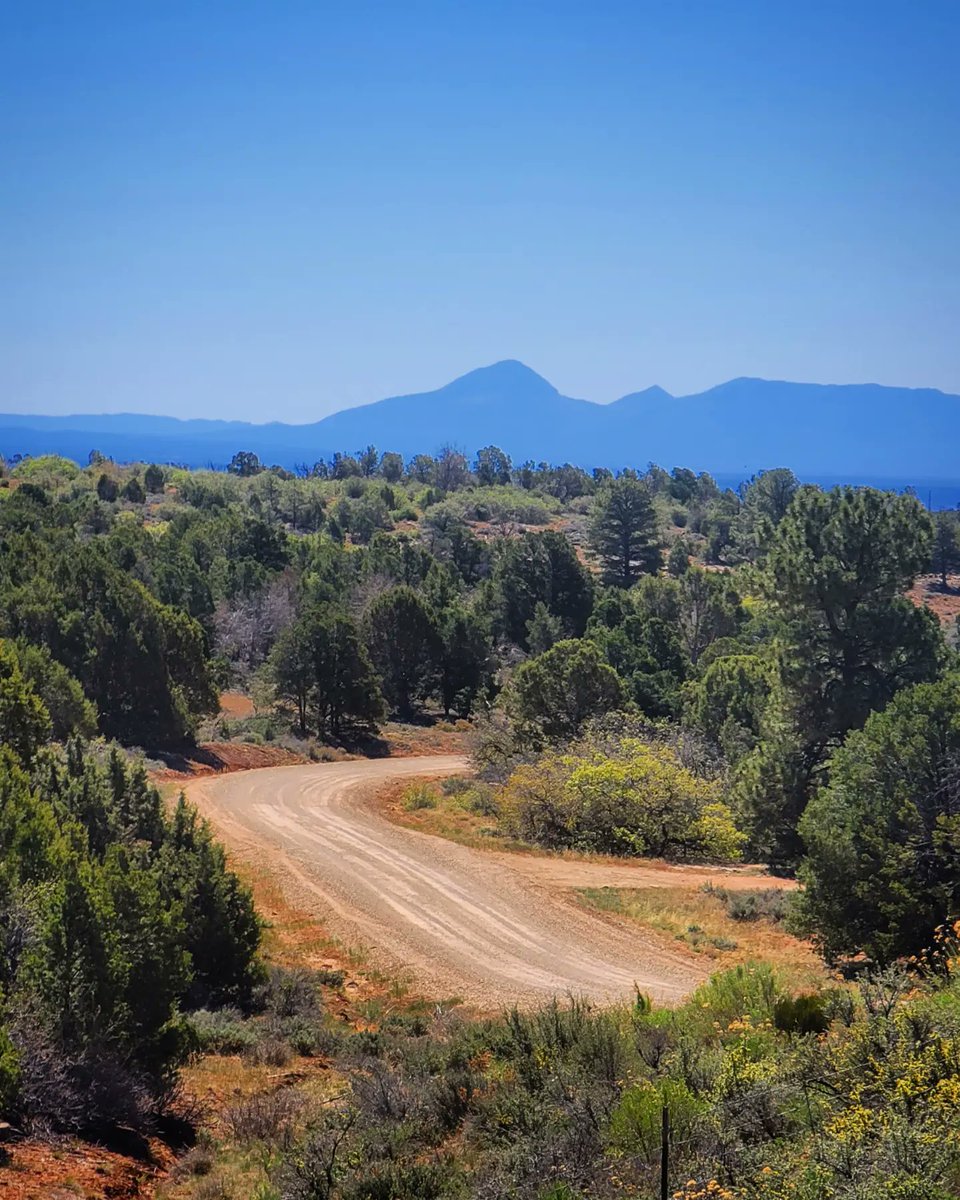 The Average Joe Runner tweet media