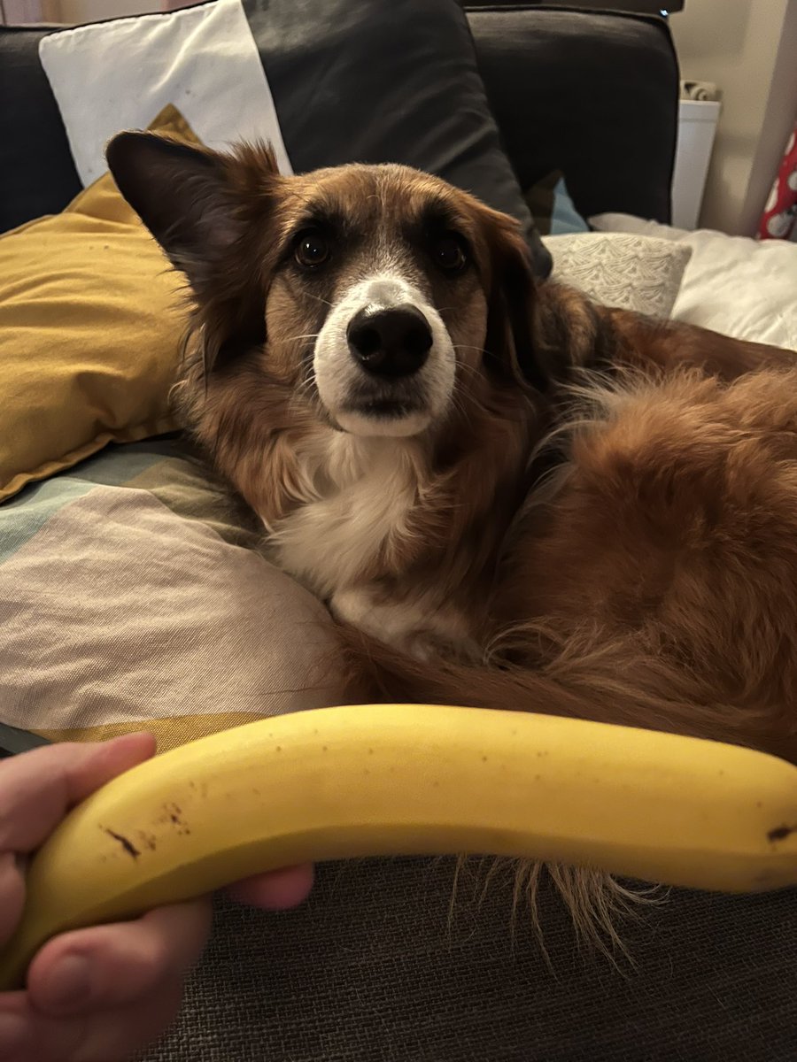 Twisted (@twisted_hbg) on Twitter photo 