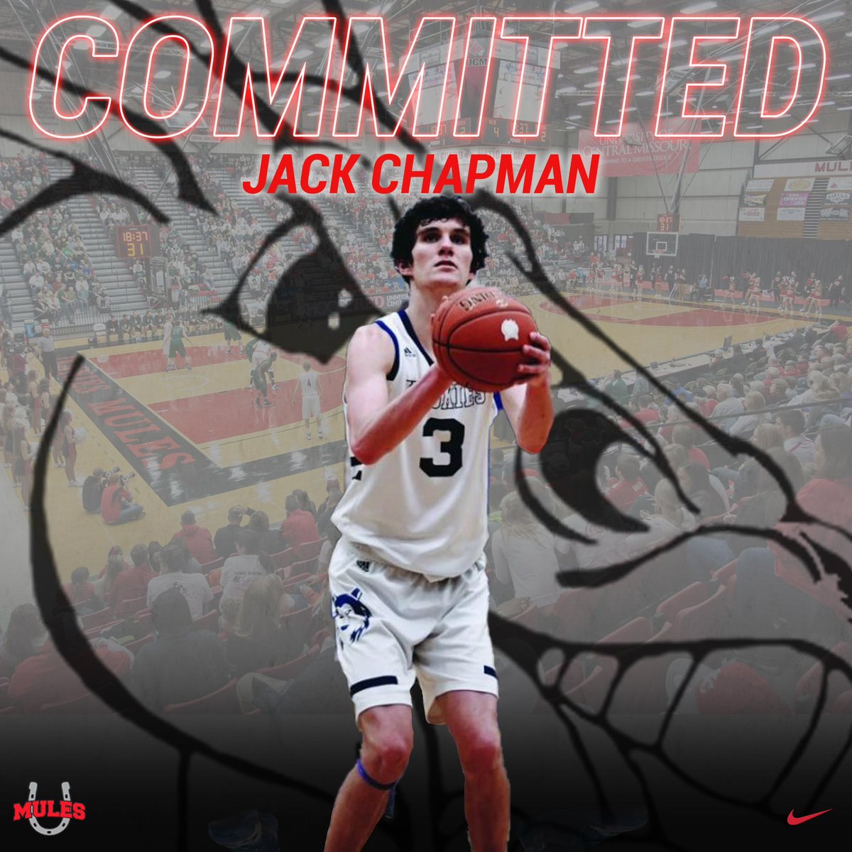 Jack Chapman tweet media