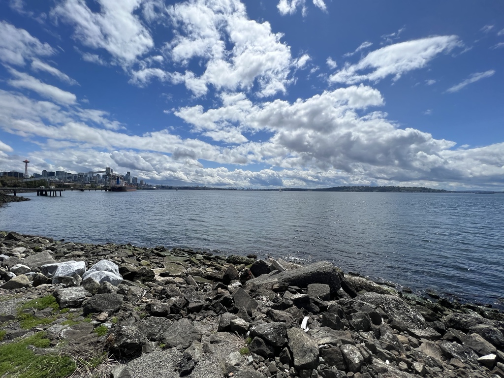 Seattle shoreline is always the best for my daily walk