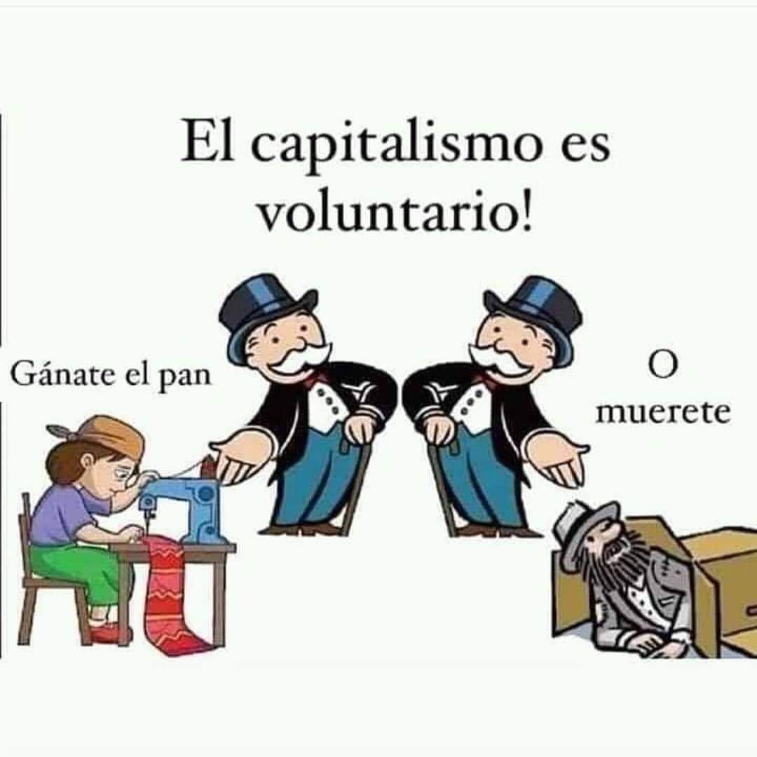 Podés elegir, es opcional ✨