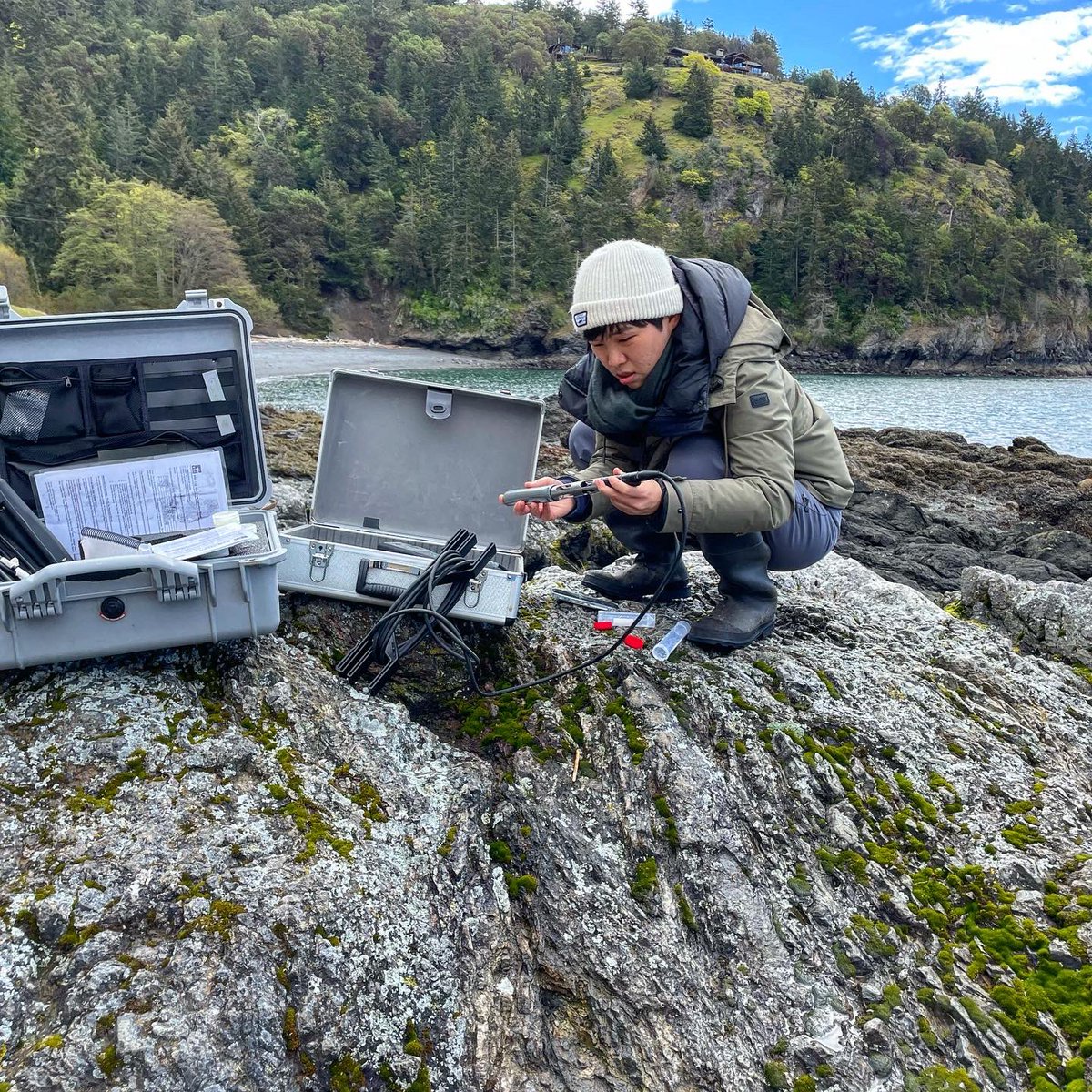 NU_ThreeSeas's tweet photo. Back in the tide pools! This time it’s to study metabolic processes of different functional groups within the pools 🧑‍🔬

📚: Changing Global Oceans 
🧑‍🏫: @steve_doo 
📸: @its_scuba_shan, Anik Grearson, &amp; Qiyah Williams  
#nuexperience #cosconnects #3Cs41 #fridayharborlabs https://t.co/2UGHUiRm1W