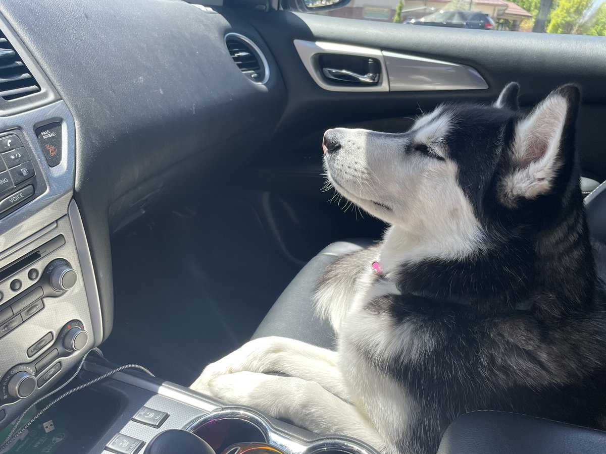 trayallday's tweet photo. she loves the AC https://t.co/dkROt2LyLv