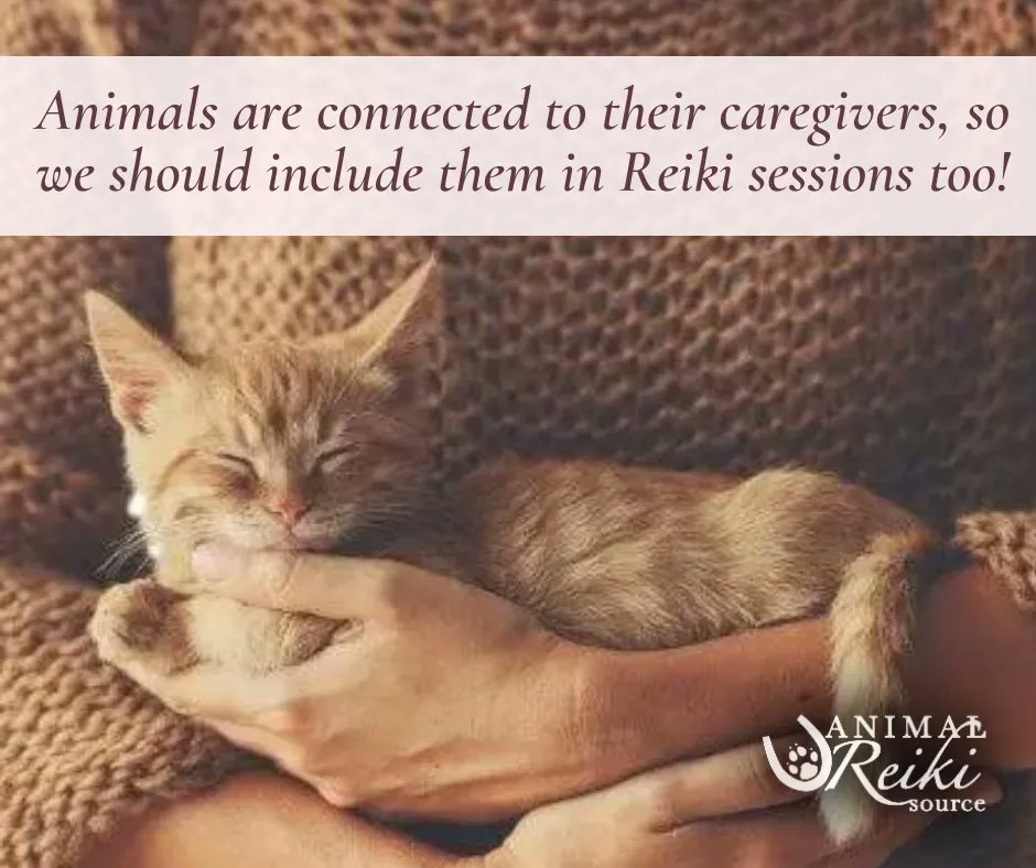 ARS_animalreiki's tweet photo. In this class, Best Practice Guidelines for Animal Reiki Practitioners, you'll learn the most effective ways to approach animals and their people when visiting homes, barns &amp; other animal-friendly businesses! 🏡🐾
https://t.co/QLcfQTpQlg #LetAnimalsLead #AnimalReiki #ReikiClass https://t.co/m6vLqru9Jm