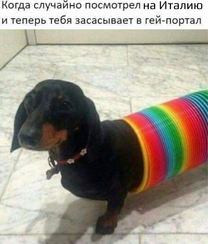 vmstwizzles's tweet photo. #Eurovision 

яяяя после того как посмотрела итальянское выступление https://t.co/jVV8WWAEQD