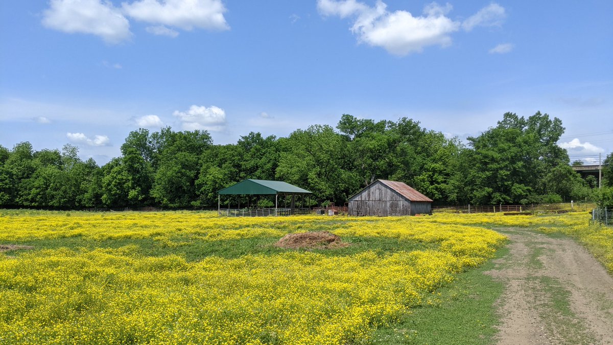 VisitTn's tweet image. See the finished work at 5pm at MP Record Art Gallery and vote on your favorite and then enjoy wine at our Sip and Stroll from 5-8pm &amp;amp; move from business to business #paintthetown #visitmountpleasanttennessee #mountpleasanttennessee #shopthemount #pleinair #madeintn