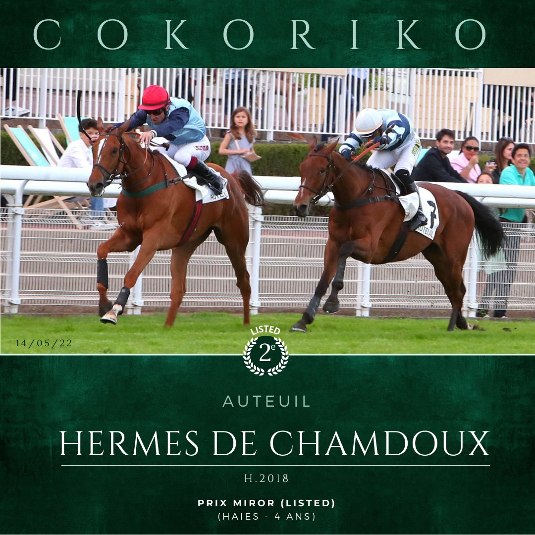 HarasDeCercy's tweet photo. 🏆 1 #victoire + 1 nouveau #Blacktype pour #Cokoriko cet après-midi à #Auteuil !

👏 Félicitations aux entourages de 𝙁𝙄𝙇𝙐𝙋  &amp; 𝙃𝙀𝙍𝙈𝙀𝙎 𝘿𝙀 𝘾𝙃𝘼𝙈𝘿𝙊𝙐𝙓 ! https://t.co/QirvNu77ny