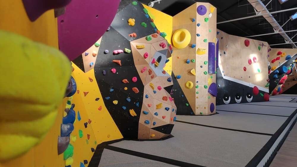 Dan 🐝 tweet media