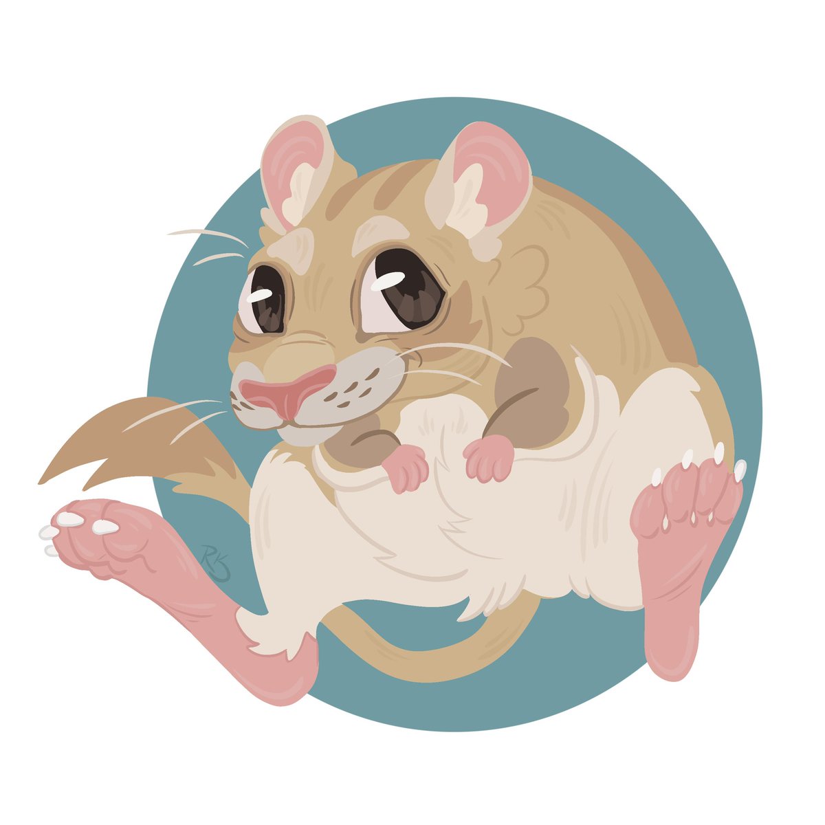 Philly_Knox's tweet photo. Gettin’ back into the swing of this art thing with some critter illustrations https://t.co/ZGPWW4ahw5