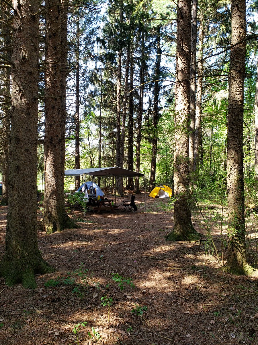 Janet_E_Taylor's tweet photo. 84th London Scouts putting the out back in our Scouting. Great weekend at Camp Sylvan. @scoutscanada https://t.co/fNgxi7Zdcv
