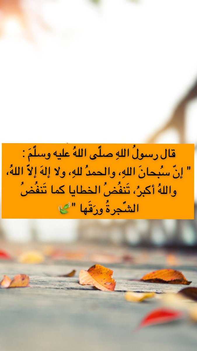 هند محمد tweet media