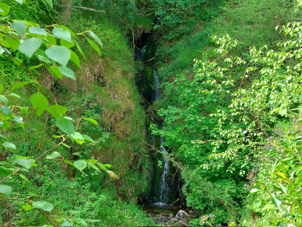 So many beautiful waterfalls hidden around our gorgeous hills 😍 
<a href="/VisitCford/">VisitCarlingford</a>
#waterfalls #cooleymountains #keepdiscovering