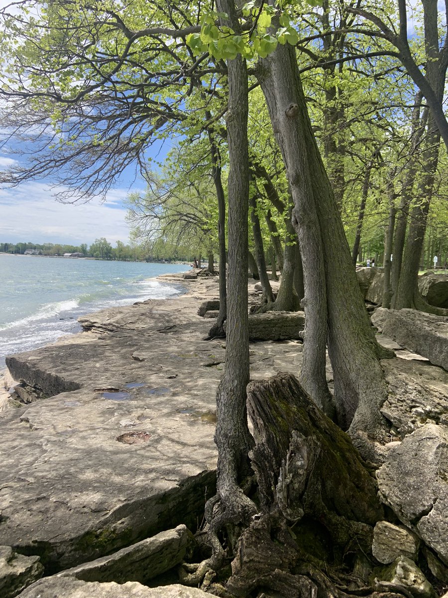 west_creek's tweet photo. Amazing shores of #LakeErie 
#TakeAHike 
#TakeInTheView https://t.co/SswKQm8Abg