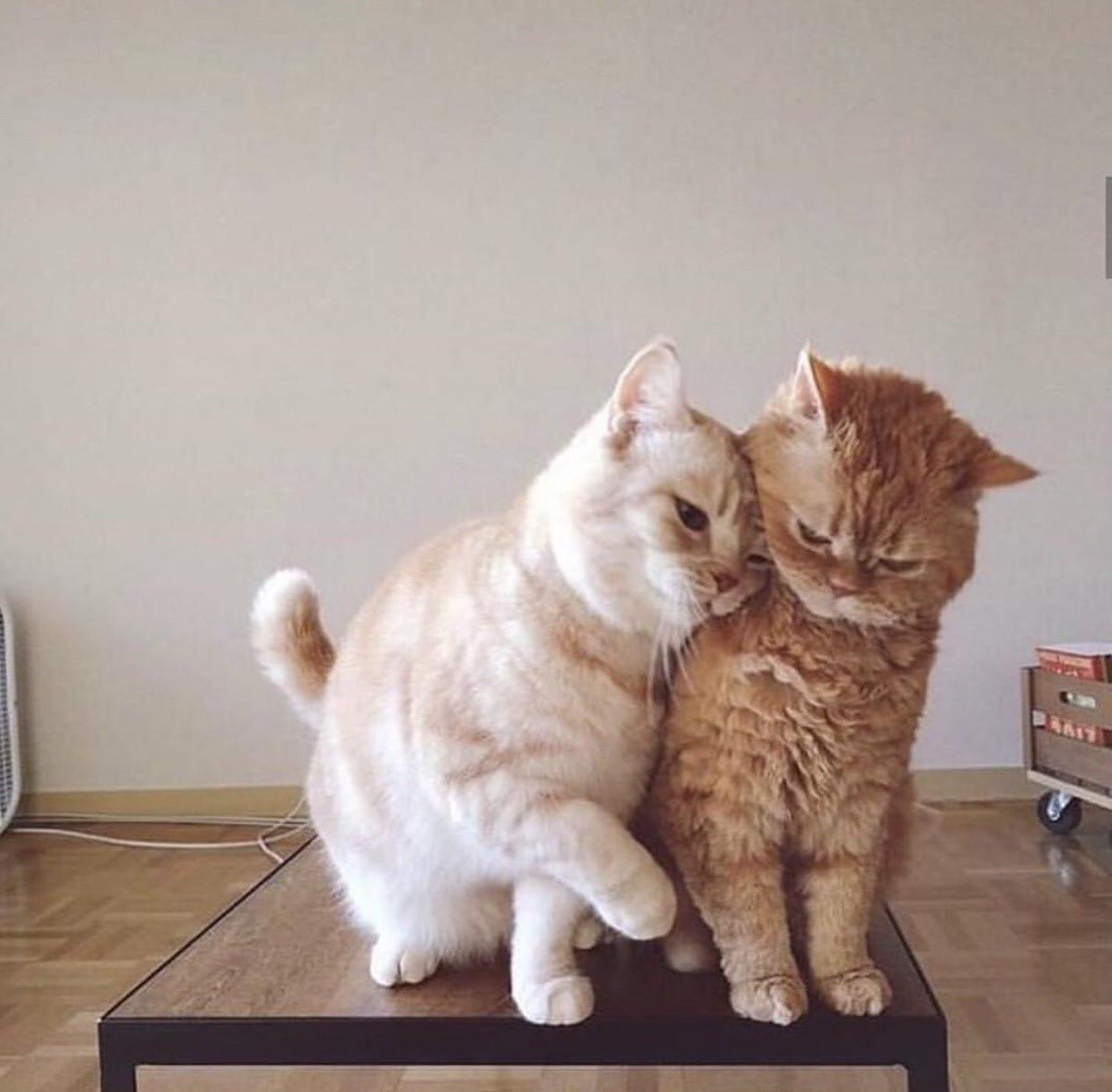 ปันเปย (@slashjrxsunoo) on Twitter photo 