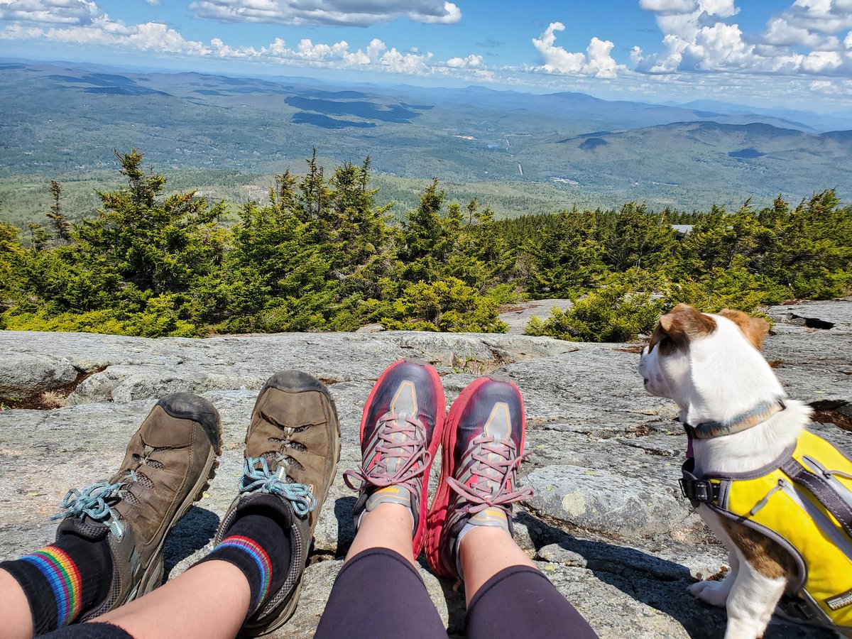 Social4Sarah's tweet photo. Today we we hiked to raise awareness so someday we can see a World Free of MS!
No matter the distance anymore, it's all about the experience while we are out there. #LiveTheLifeYouHave #ClimbMS
#TakeAHike #GetOutside #ThisIsMS ๐งก๐๐ป #AdventuresWithZephyr @mssociety https://t.co/GmXqnIHTTR