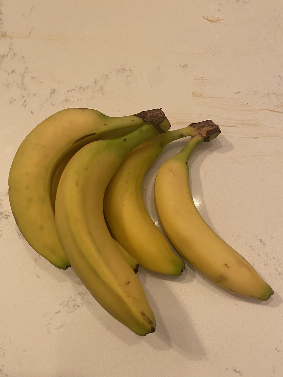 JoeyHayes_'s tweet photo. Will somebody please give that Wolf a Banana!!! (Here’s some) #Norway #givethatwolfabanana #Eurovision https://t.co/rpYL7ZYlBG