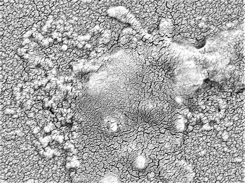 Breaking down complex ideas for curious readers, the <a href="/sciencebreaker/">TheScienceBreaker</a>'s latest story explores #AMR research about a strategy that could restore the effectiveness of a range of #antibiotics &amp; drugs of last resort. <a href="/furnissrc/">Chris Furniss</a> <a href="/nikikaderabkova/">Nikol</a> <a href="/bondSSbond/">Despoina  Mavridou</a> <a href="/UTAustin/">UT Austin</a>  <a href="/Stockholm_Uni/">Stockholm University</a>