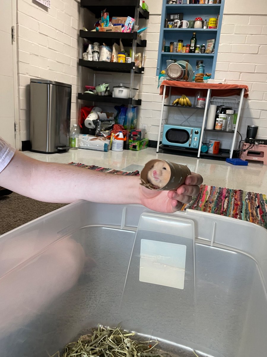 radishkid's tweet photo. Kitchen recently https://t.co/WLY7OERyX5