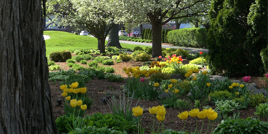 Beach Grove Golf &CC tweet media