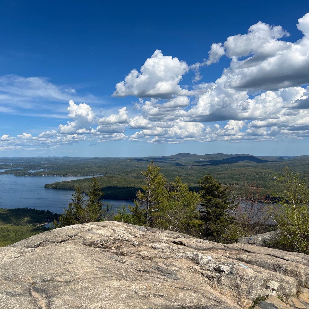 neuroviolin's tweet photo. #hiking #outdoors #mountmajor https://t.co/YGiNL9x8q4