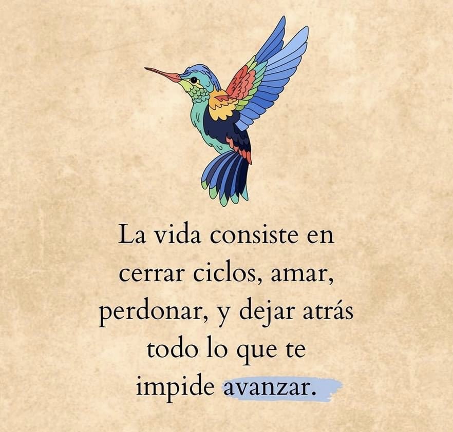 Colibrí - Perderte para encontrarme o viceversa. #BridaF