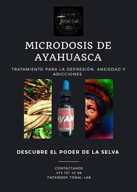 LabTonal's tweet image. Los esperamos el próximo fin de semana en Tlalpan